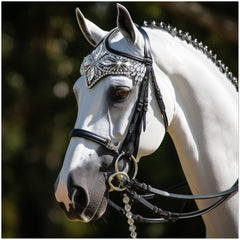 Pack of 10 Postcards (2-sided, No envelopes) (US & CA)