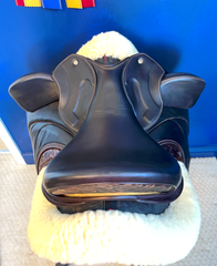 17" WOW Pinnacle Dressage - Curved Tree