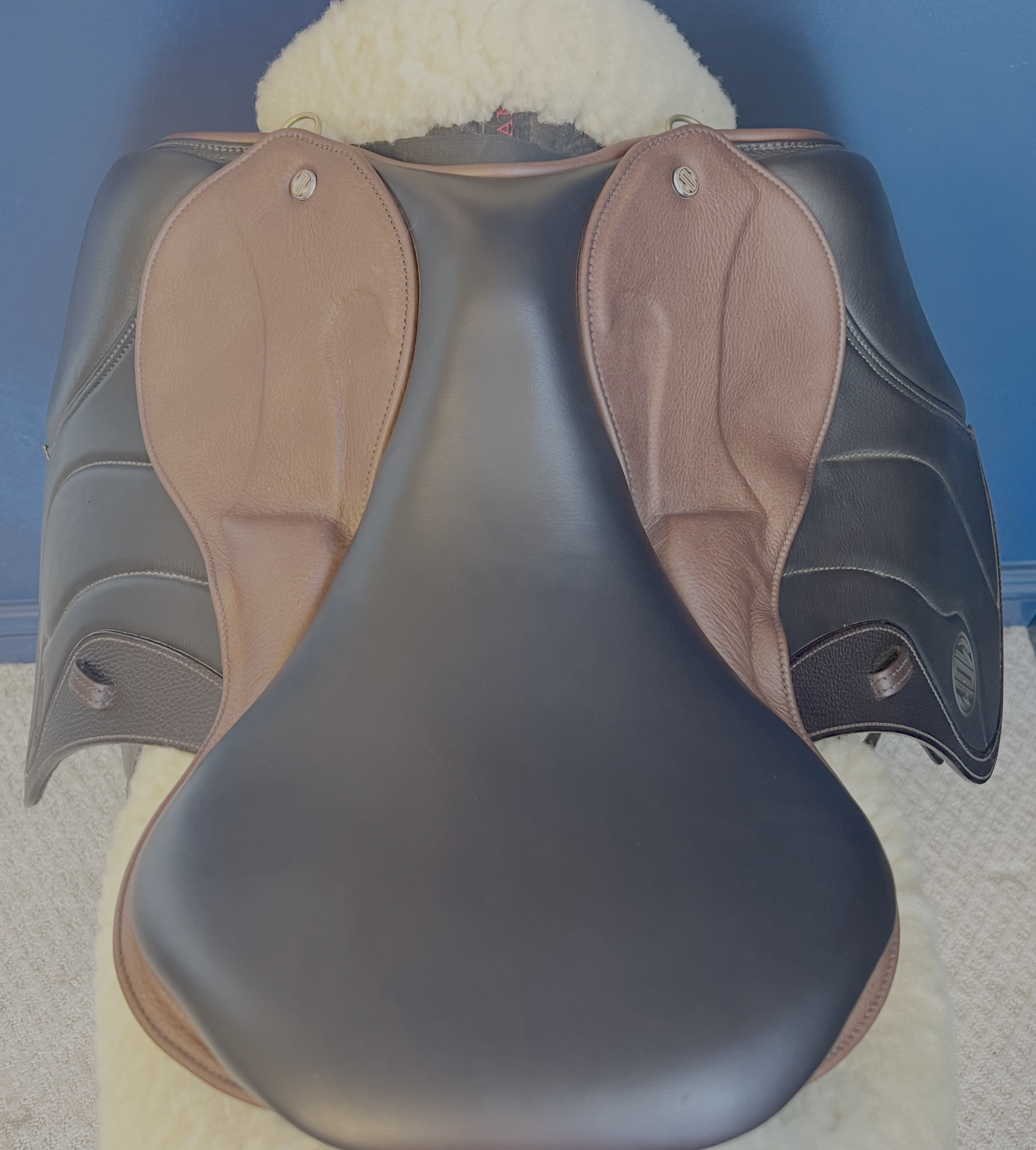 17" DMK Peak Show Jumping Saddle. Semi-curved Tree. Forward Cut flap. Fixed hi-wedge block. Rent, Buy Demo, or Purchase New only at Delfina Saddlery.