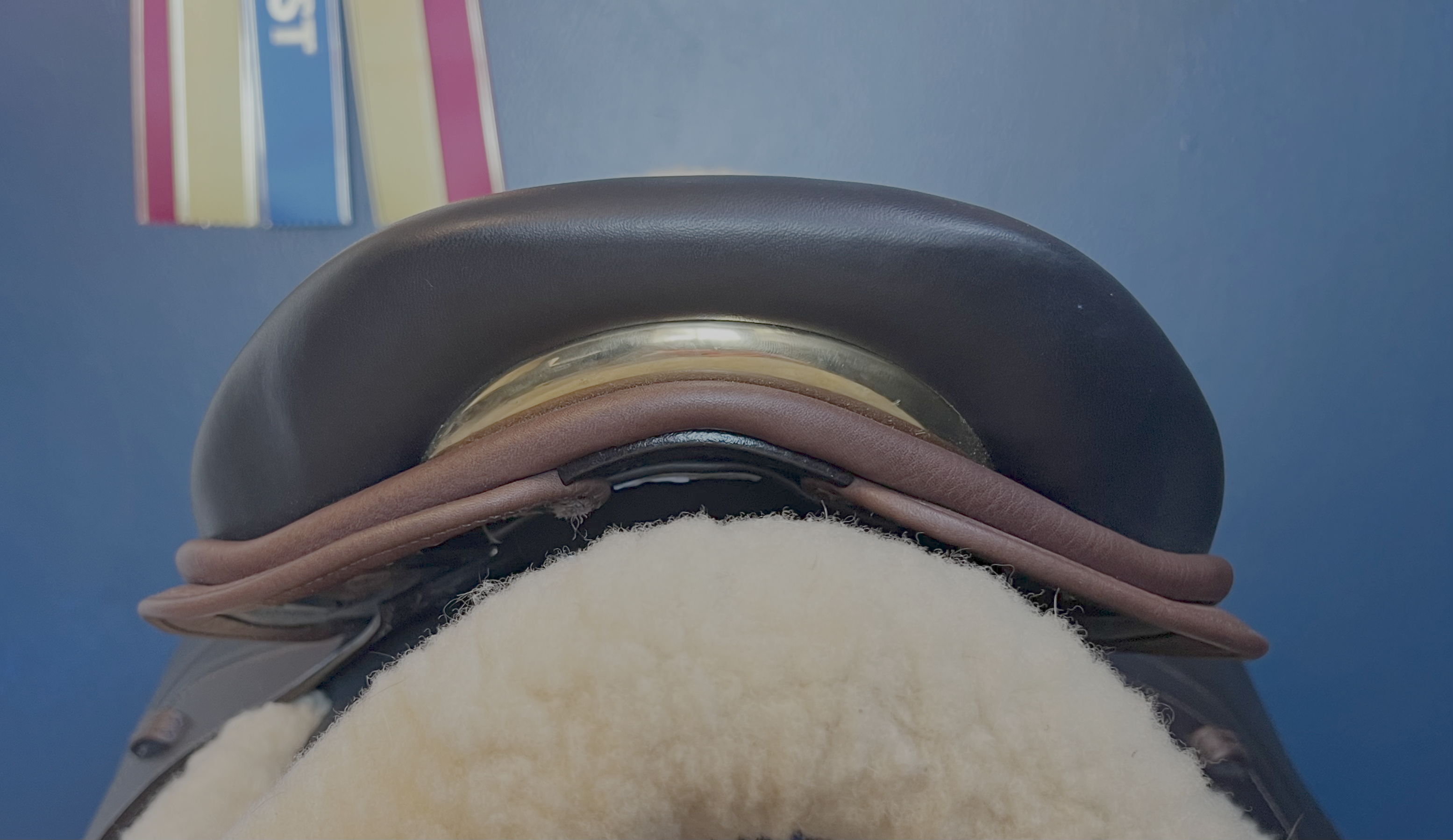 17" DMK Peak Show Jumping Saddle. Semi-curved Tree. Forward Cut flap. Fixed hi-wedge block. Rent, Buy Demo, or Purchase New only at Delfina Saddlery.