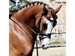 Delfina Aachen Bridle - Crystal & Wire Dutch Drop Dressage Bridle