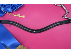 Delfina's Aachen browband in black leather with silver wire in a U base