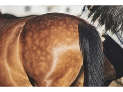 Delfina's Ultimate Polishing Pad - Birkin Leather & Medical Merino Wool