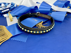 Blue and gold custom dog collar