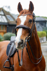 WOW FreeSpace bridle and Duskin Show Jumping Saddle