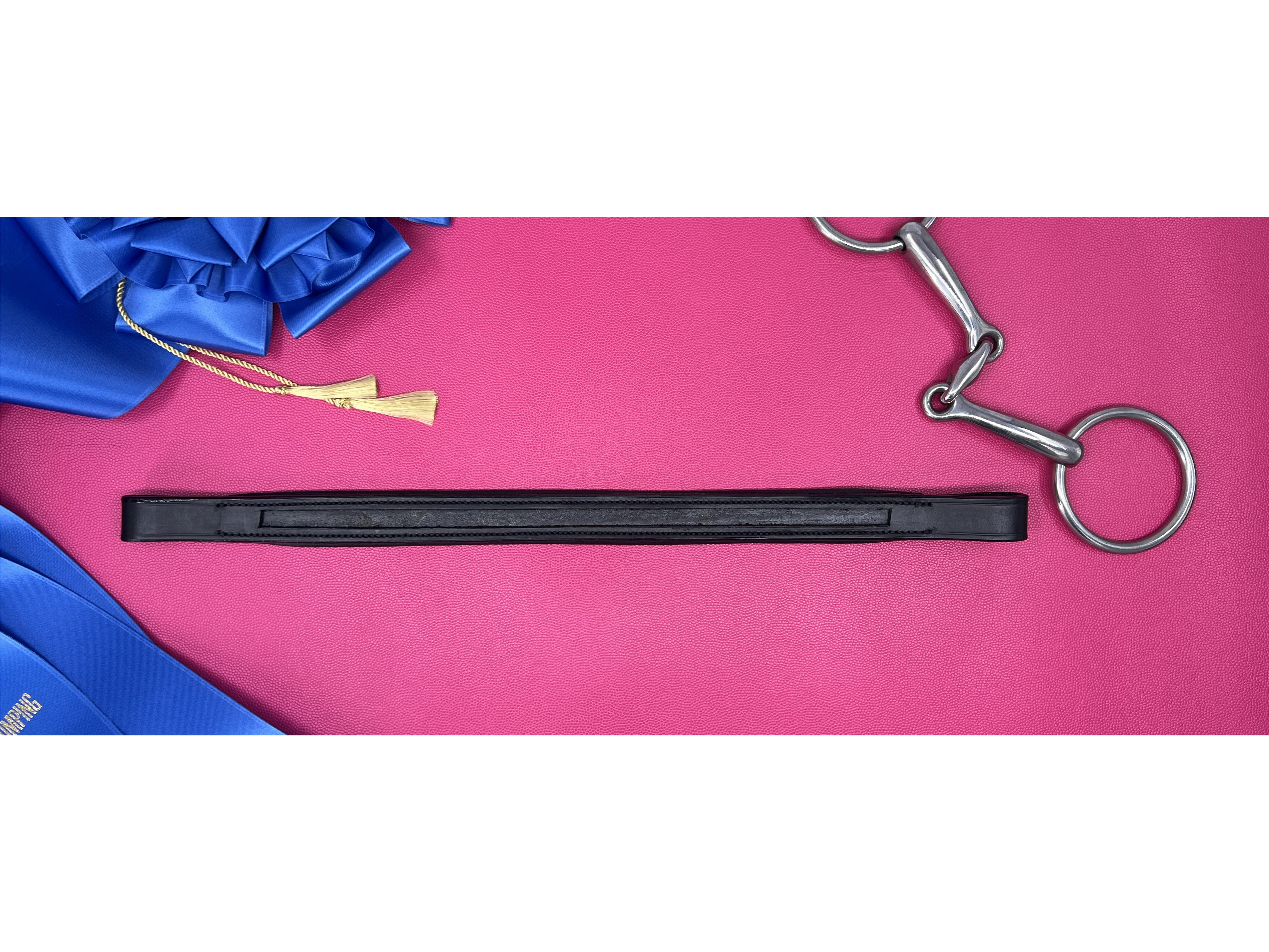 Delfina Saddlery straight empty channel browband