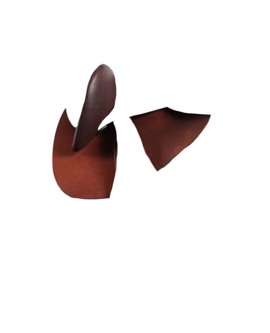 Fender Skirt and Polly