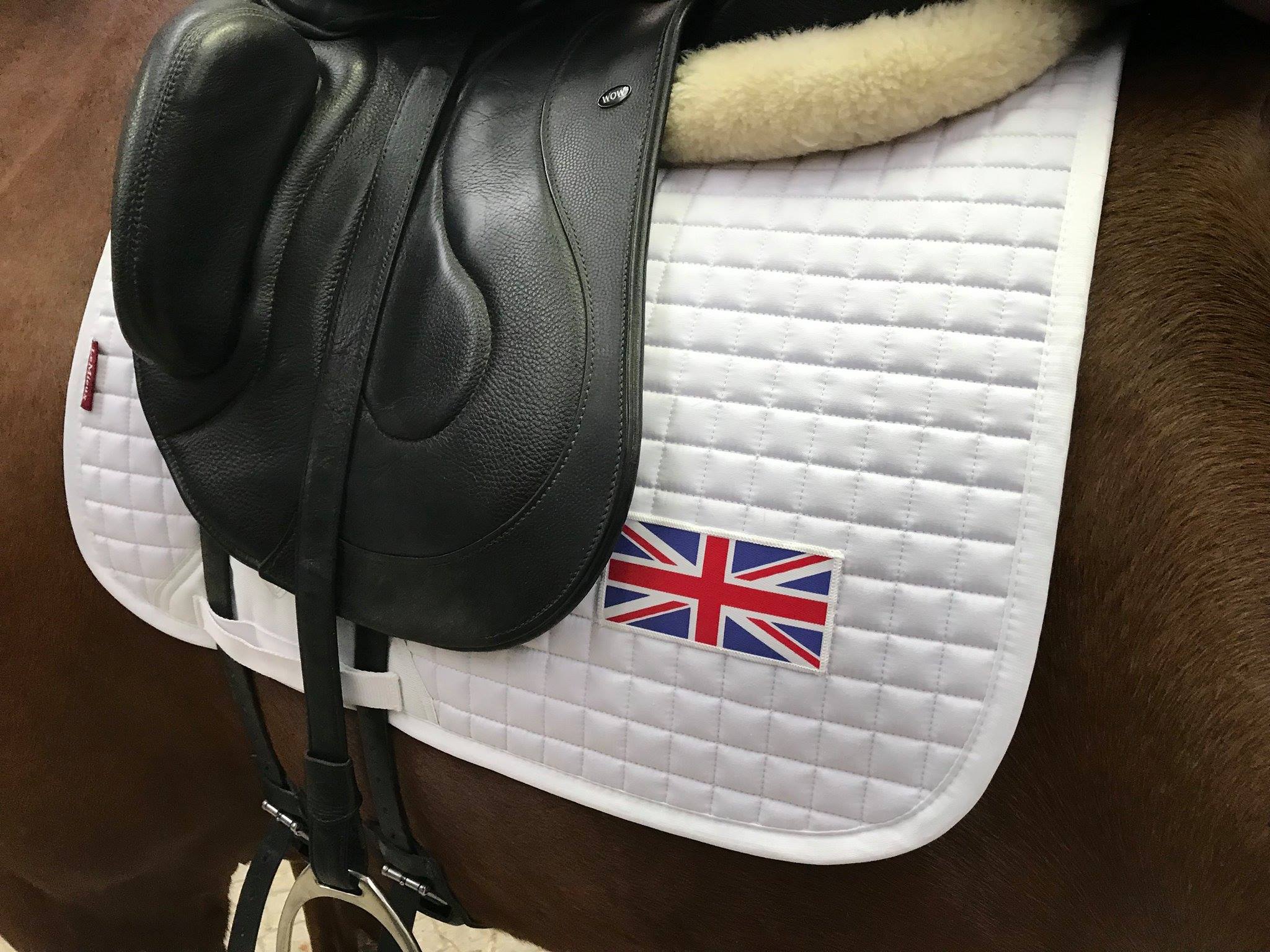 WOW Standard Competitor Equitana Dressage Saddle with movable fixed block