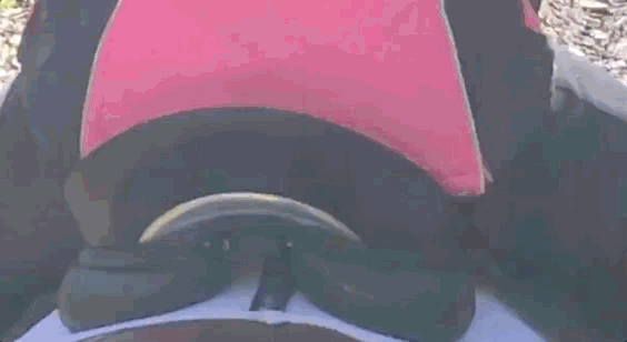 WOW's Flair Panels instantly and constantly adjust to changing pressures on the horse's back.