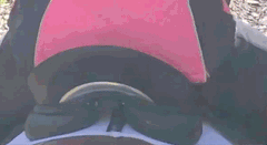 WOW's Flair Panels instantly and constantly adjust to changing pressures on the horse's back.