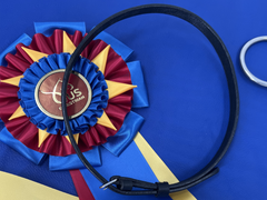 Replacement Flash Strap