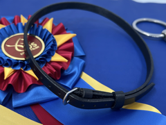 Replacement Flash Strap