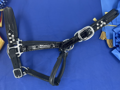 Limited Edition Lamplight Crocodile Halters