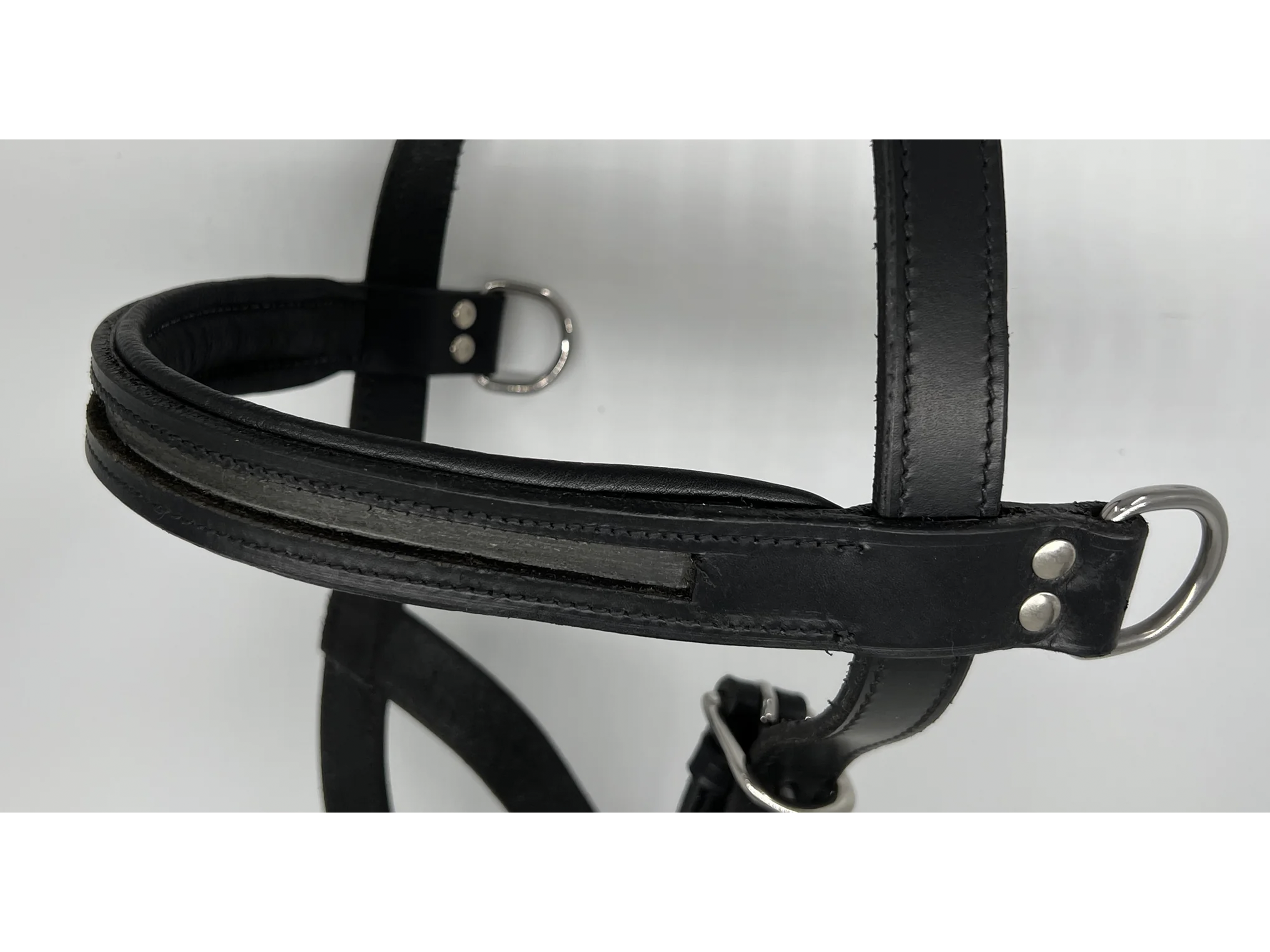 Empty Open Channel Lunge Cavesson Browband