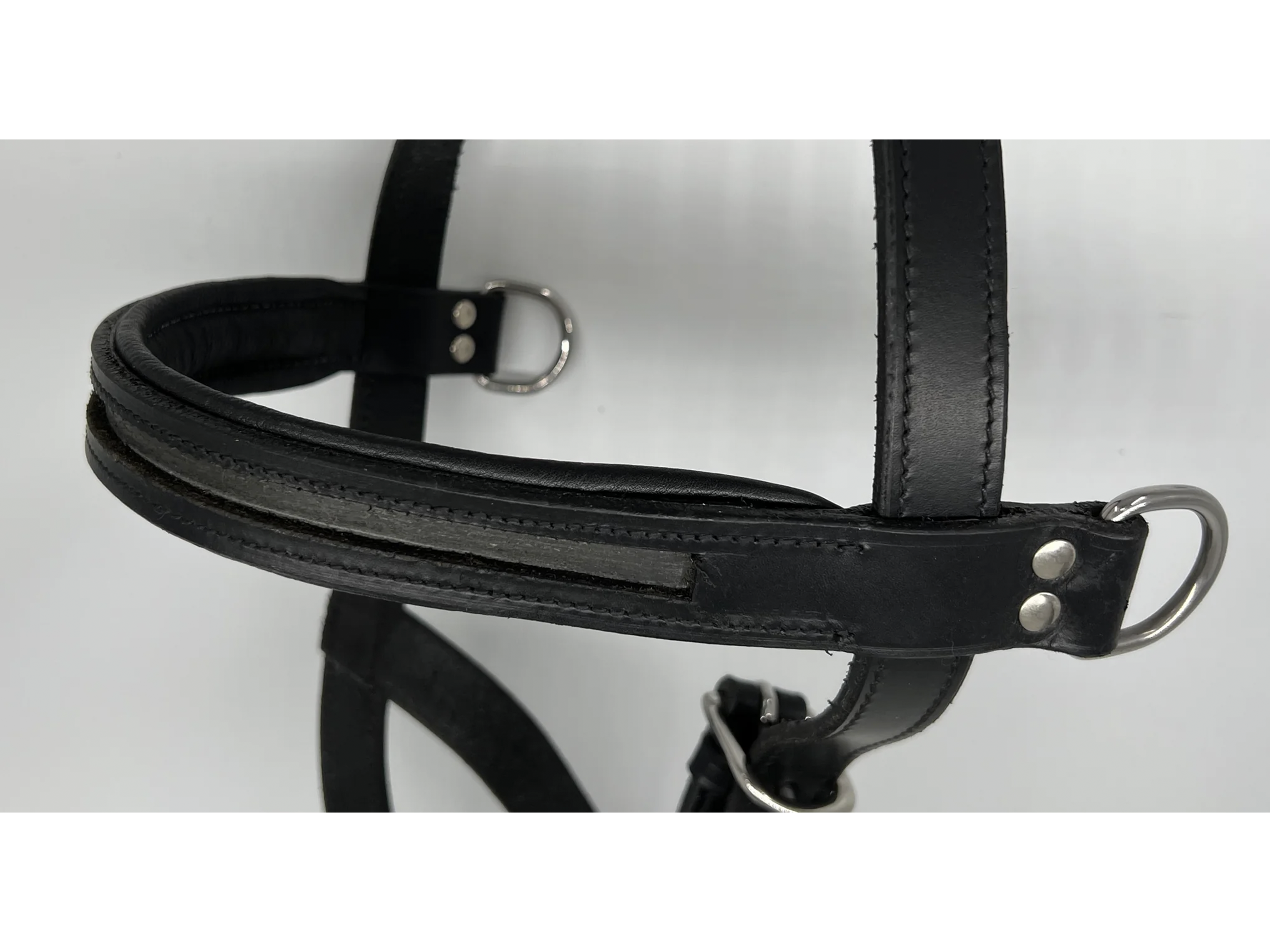 Delfina empty channel lunge cavesson browband