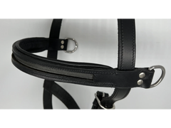 Delfina empty channel lunge cavesson browband