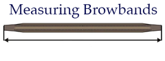 Custom Browband : Blue Steel - 17"
