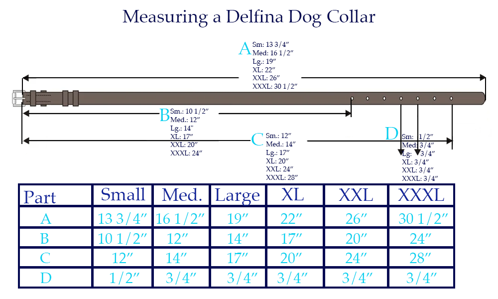 how to measure a delfina dog collar