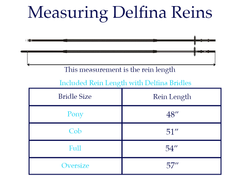 Delfina Curb Reins