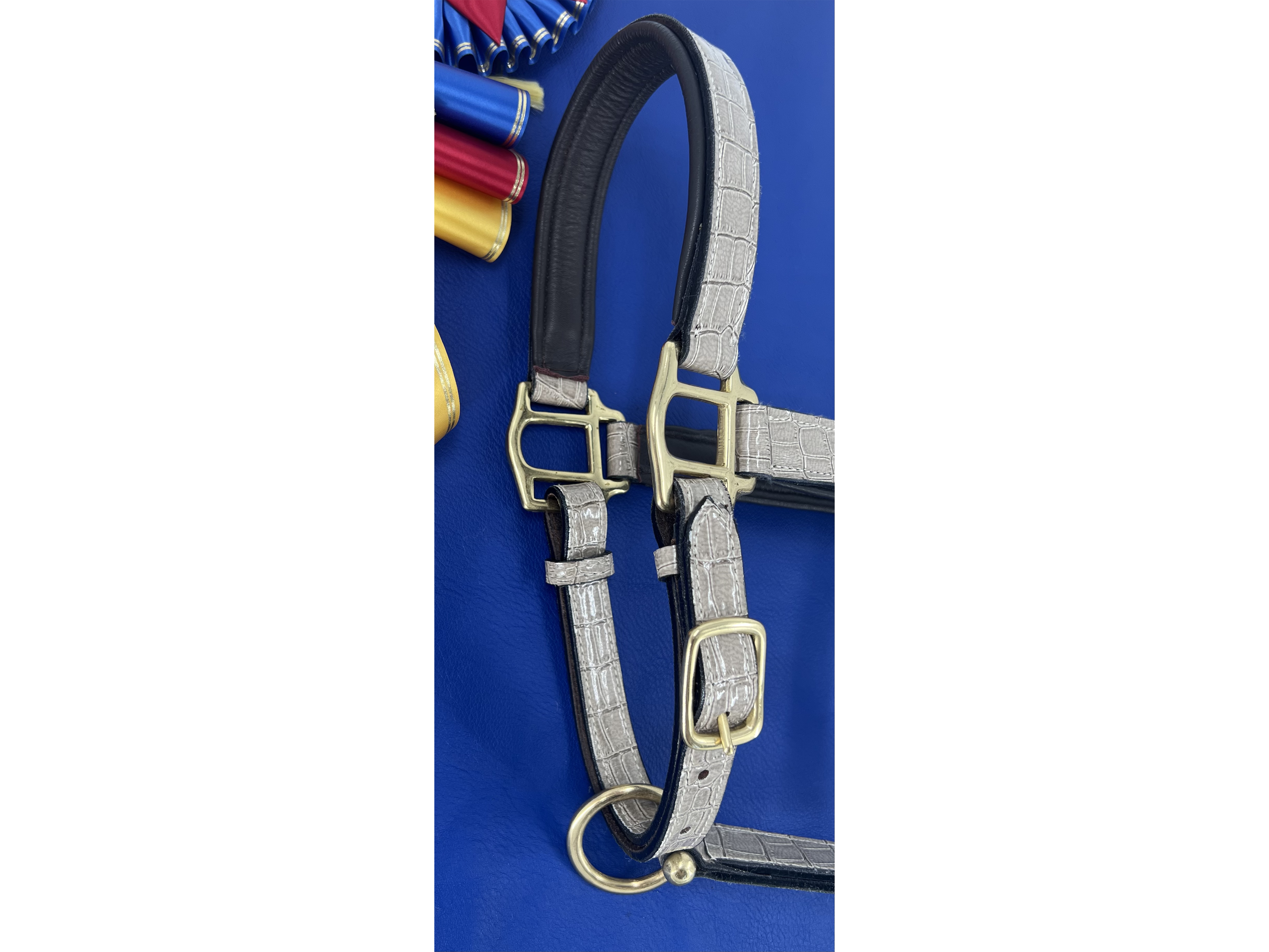 Limited Edition Rio Halters - Taupe Padded Crocodile