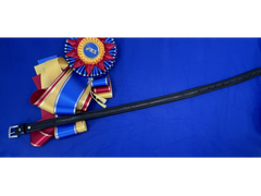 Delfina vegan cactus leather equestrian belt with empty channel