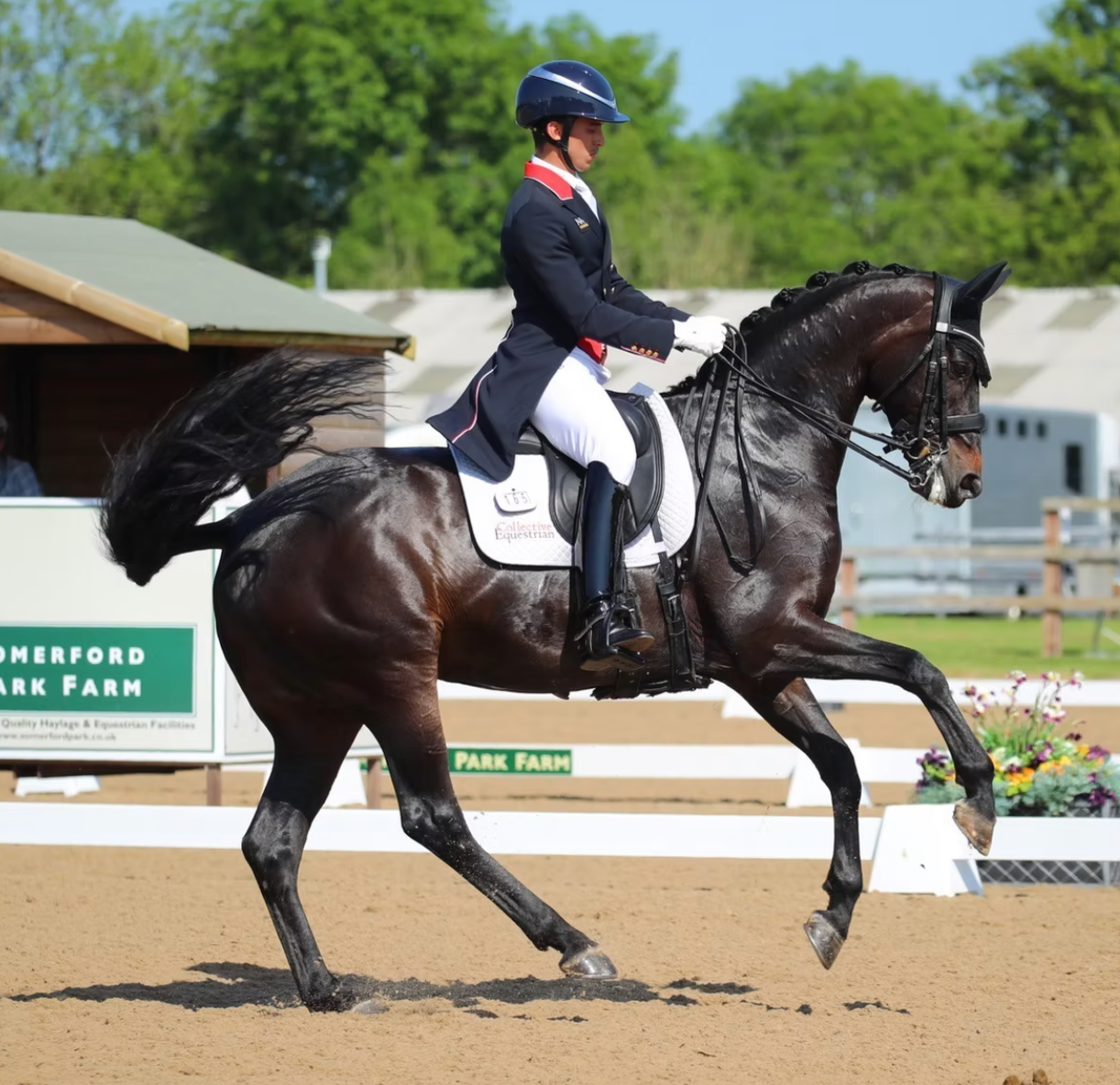 WOW Saddlery's elegance girth collection