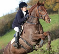 WOW Saddlery's H Girth Collection in vegan leather and leather great for round fat horses or jumper stud girths