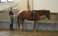 Finished Cavesson Browband : Fritz Stahlecker's Design