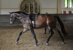 Finished Cavesson Browband : Fritz Stahlecker's Design