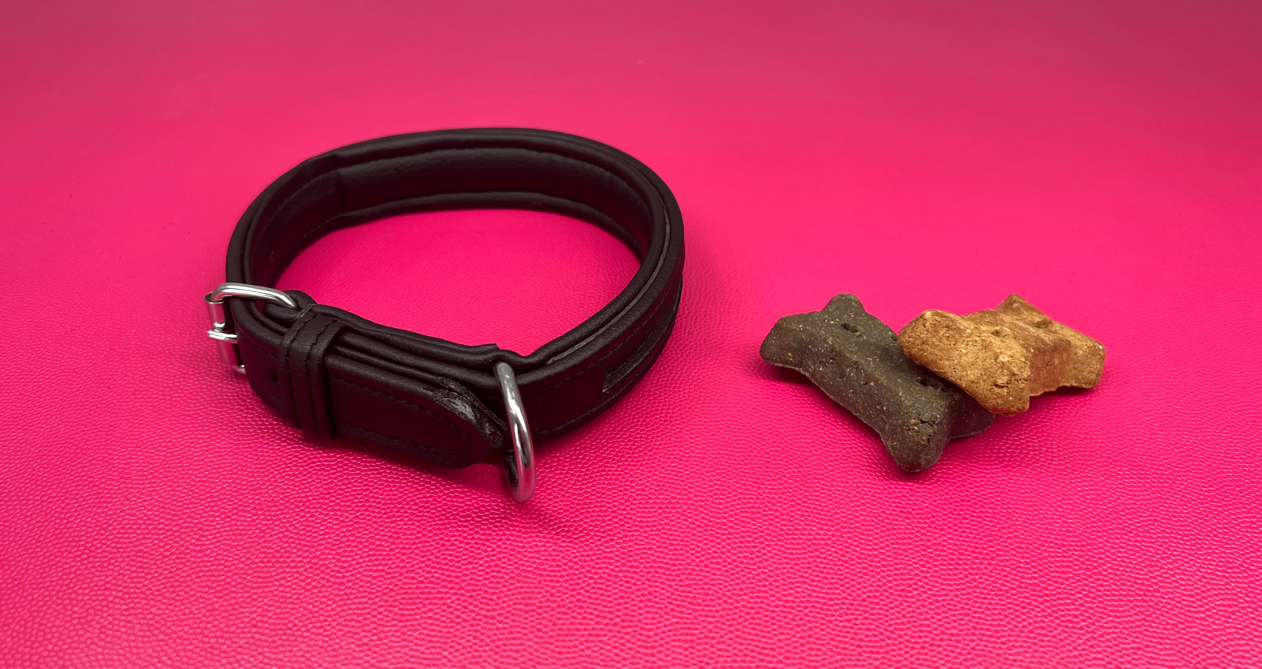 Delfina vegan cactus leather empty channel dog collar with plastic channel backing