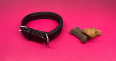 Delfina vegan cactus leather empty channel dog collar with plastic channel backing