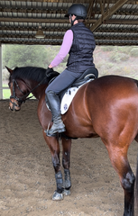 In-Person Saddle Fitting & Adjustment - Please Read Full Description