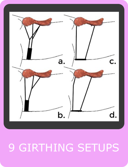 wow saddles girthing options