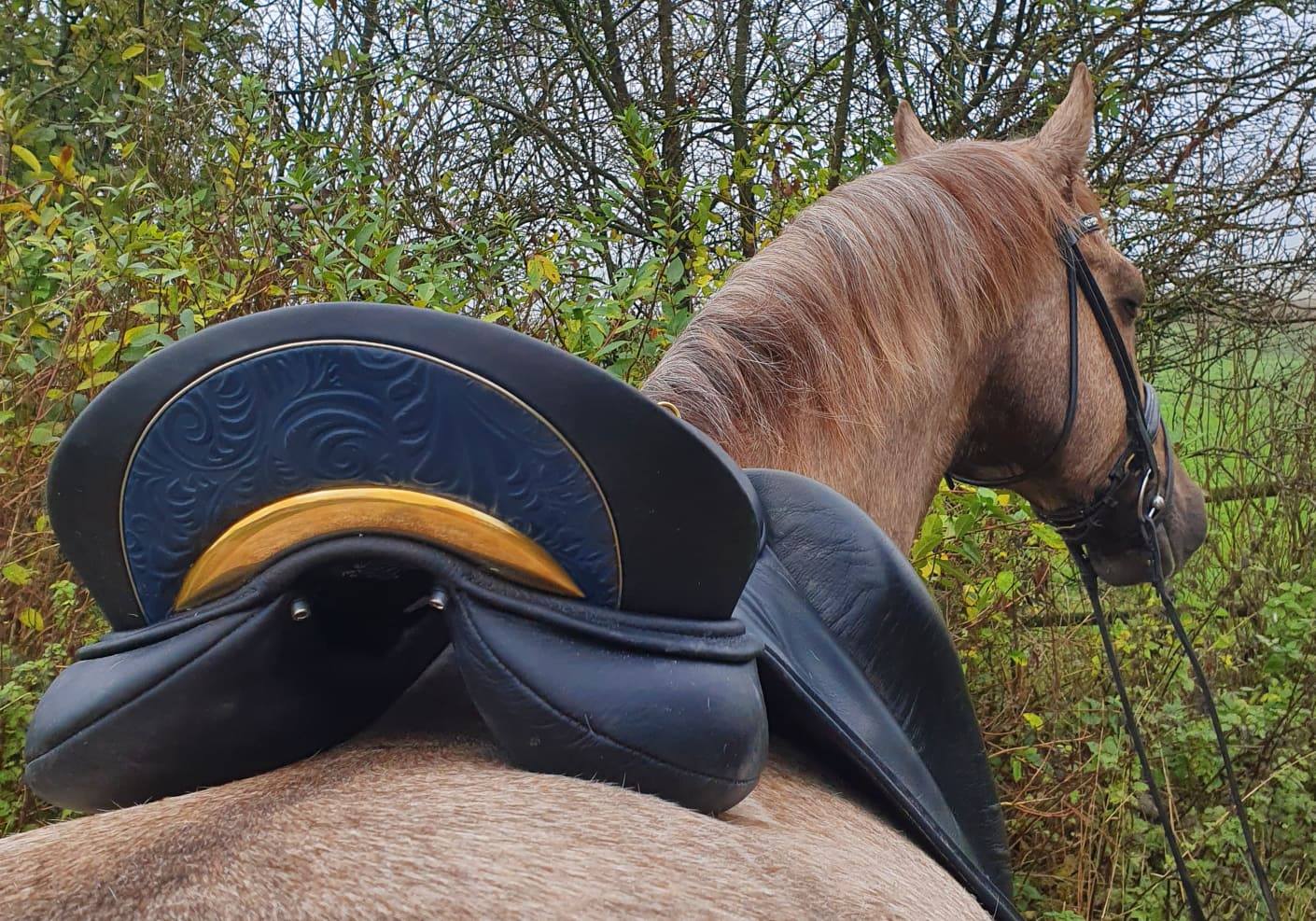 WOW Fully Custom Saddles (fully modular, unlimited options)