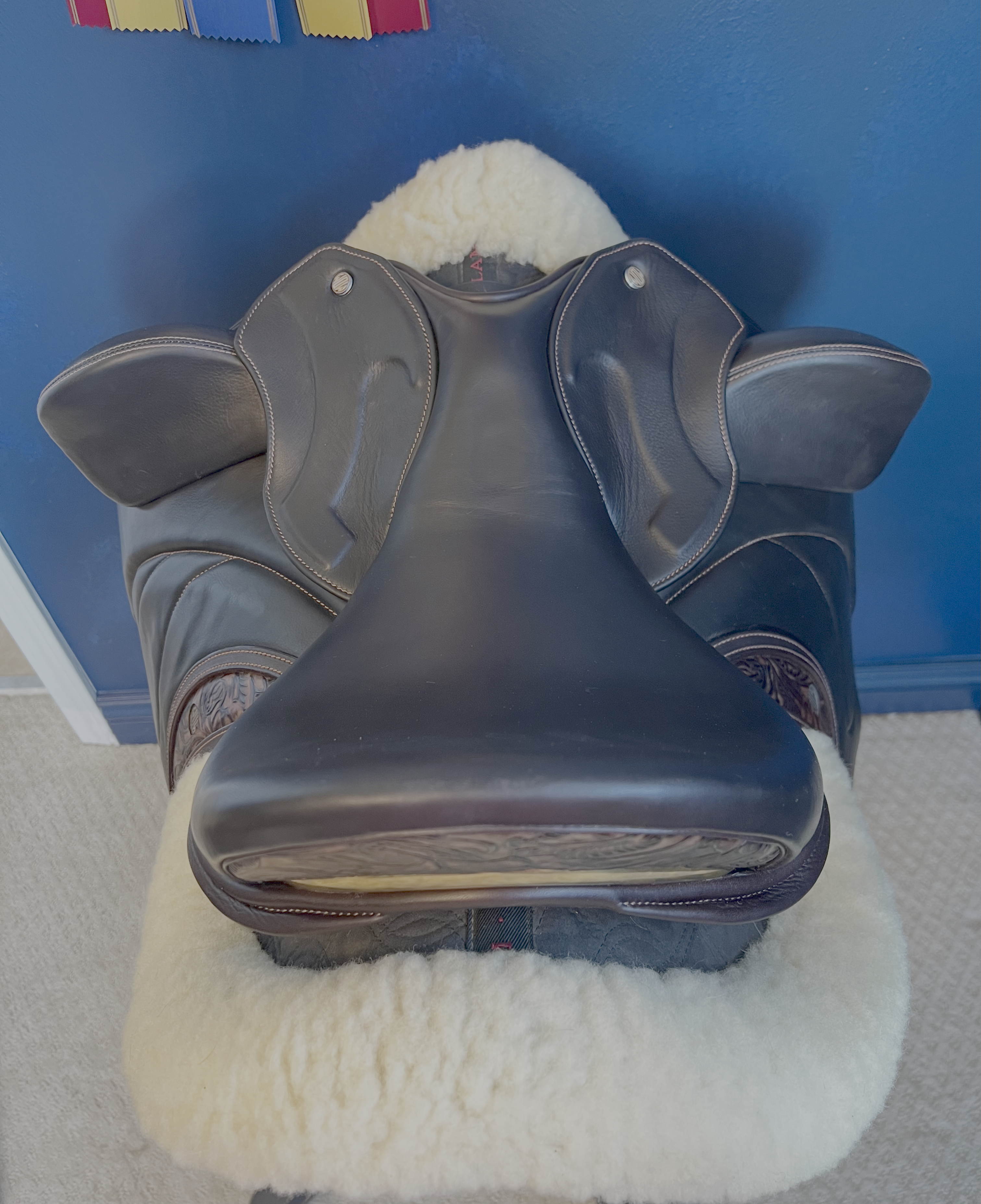 17" WOW Pinnacle Dressage - Curved Tree