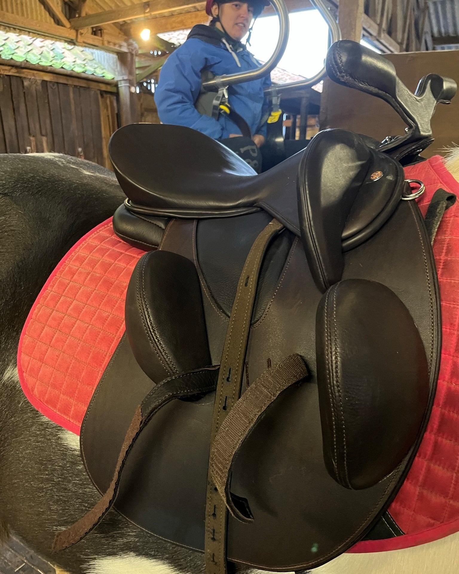 WOW Fully Custom Saddles (fully modular, unlimited options)