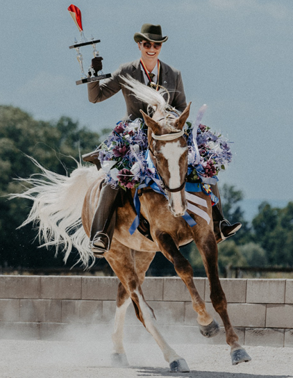 Delfina Saddlery