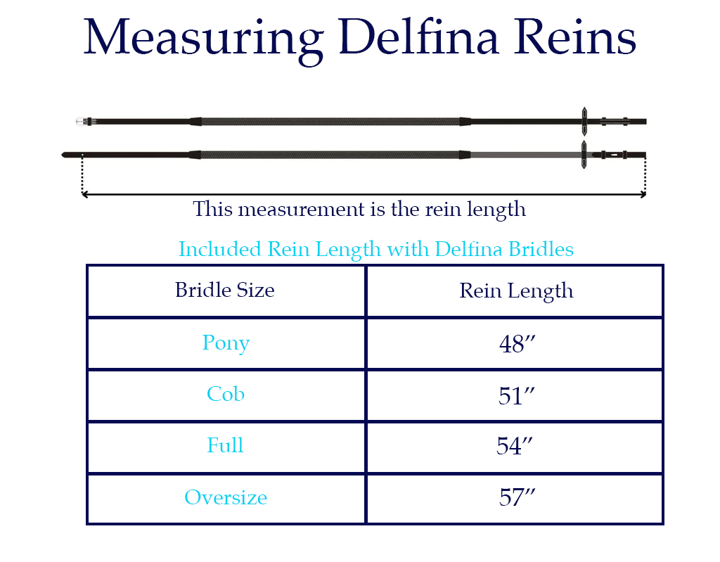 Delfina Curb Reins