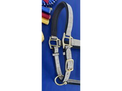 Limited Edition Rio Halters - Taupe Padded Crocodile