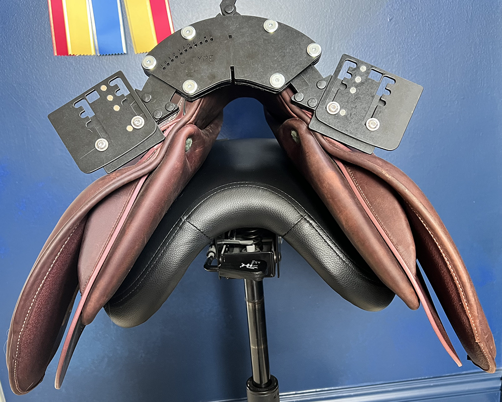 In Person 110-Point Horse & Rider Saddle Fitting & Assessment - Please Read Full Description