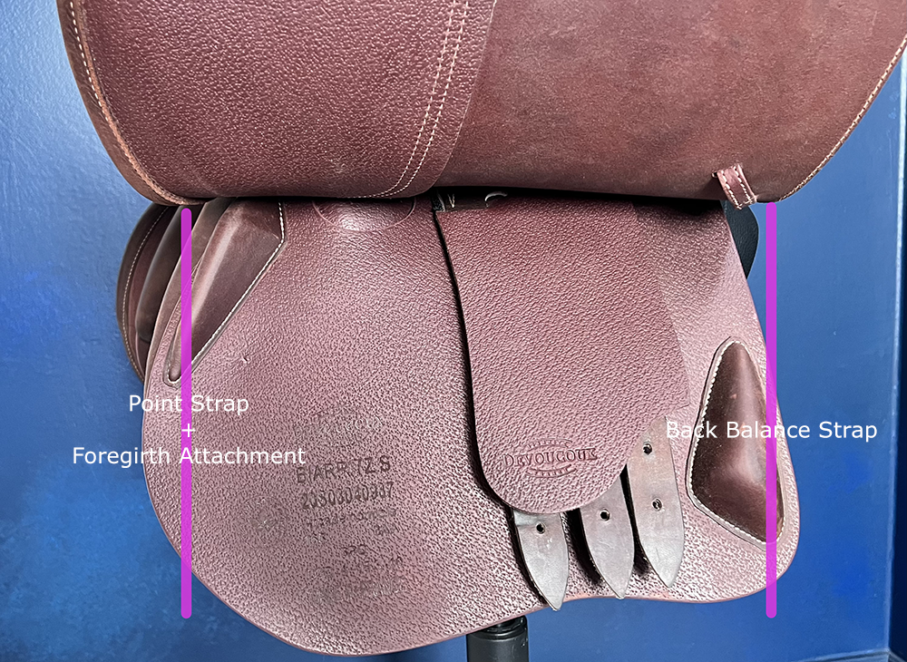 In Person 110-Point Horse & Rider Saddle Fitting & Assessment - Please Read Full Description