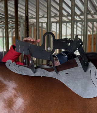 In Person 110-Point Horse & Rider Saddle Fitting & Assessment - Please Read Full Description