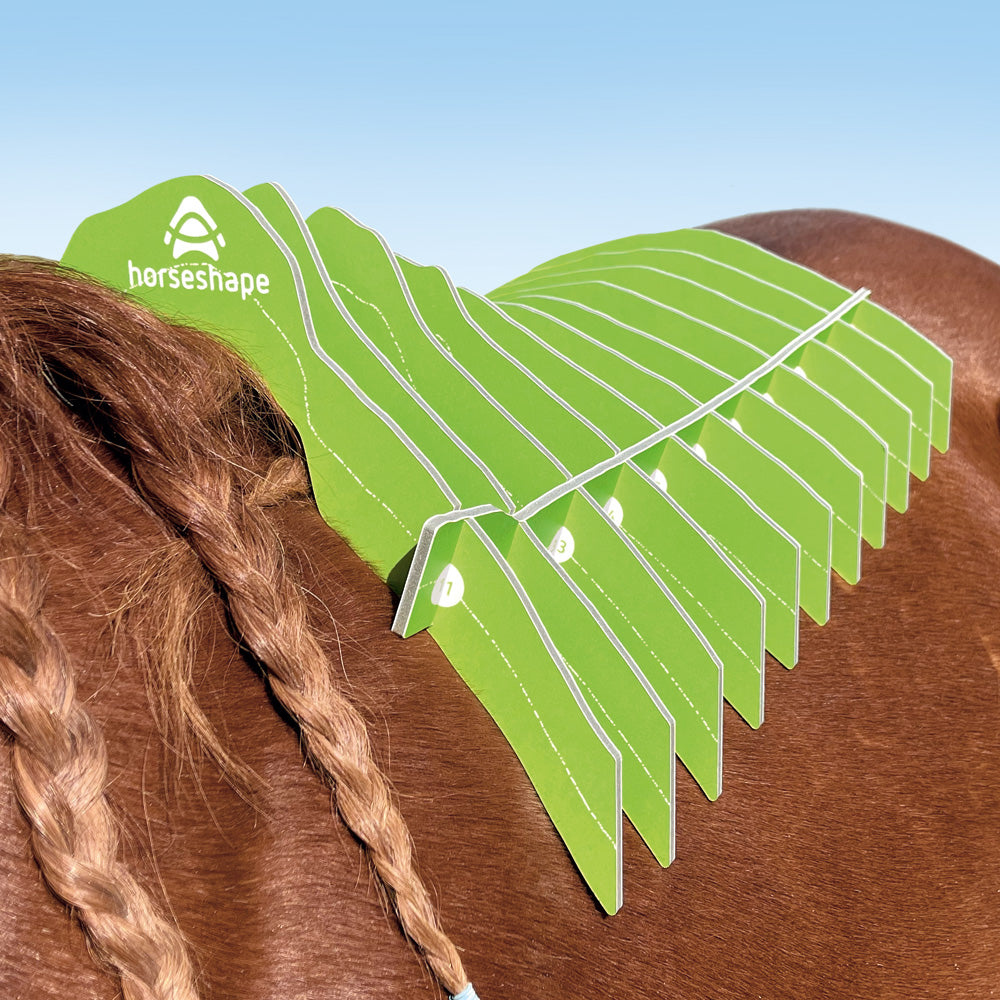 horseshape